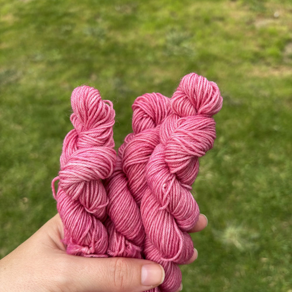 Knitsch BFL Sock Mini - Sentient cake